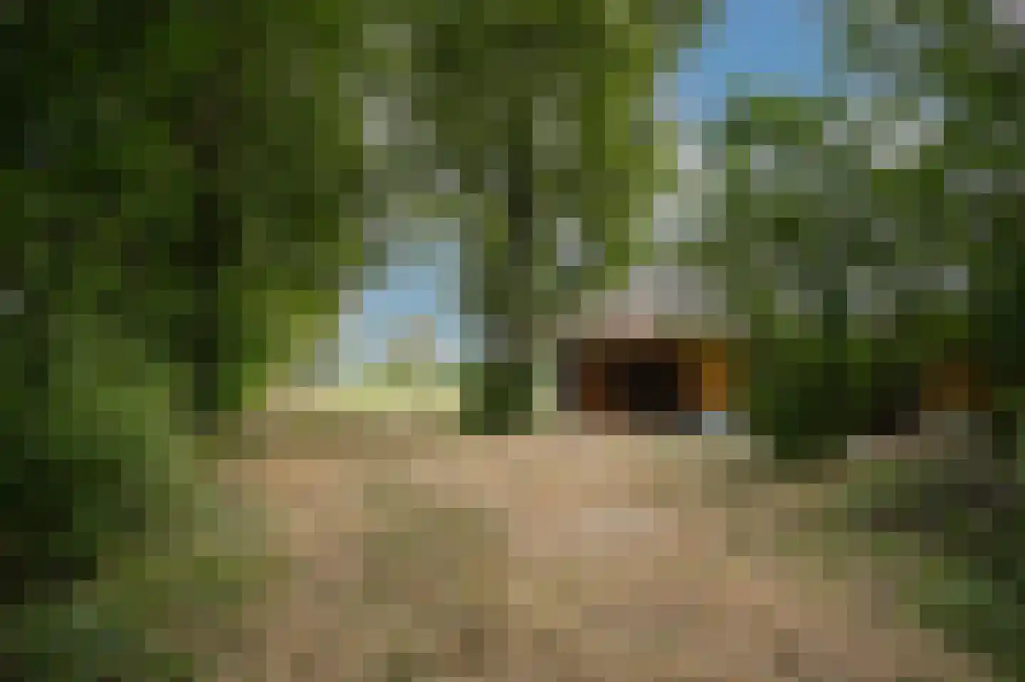 Heuvenseweg 4 Terborg thumbnail 18