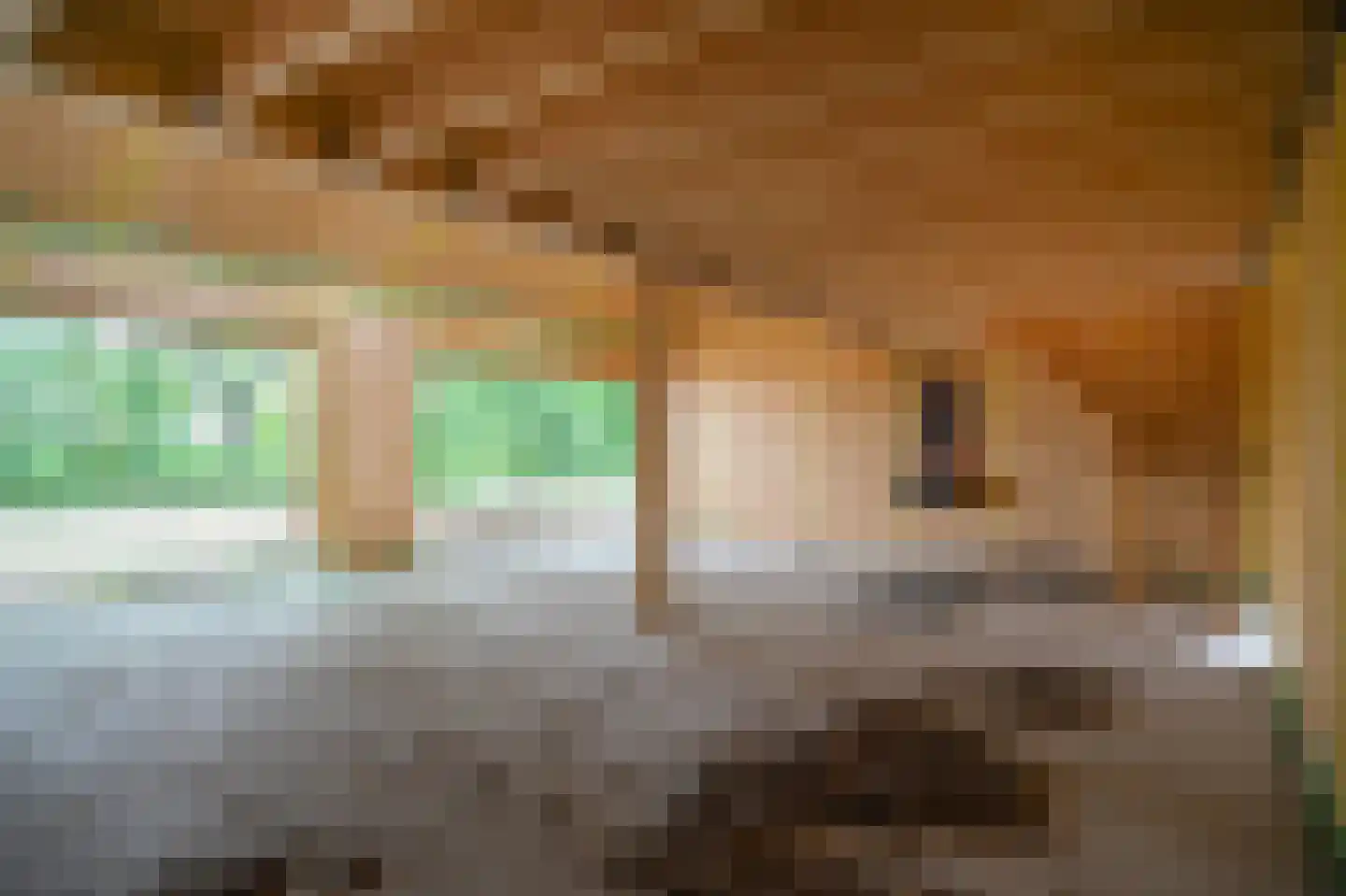 Heuvenseweg 4 Terborg thumbnail 20