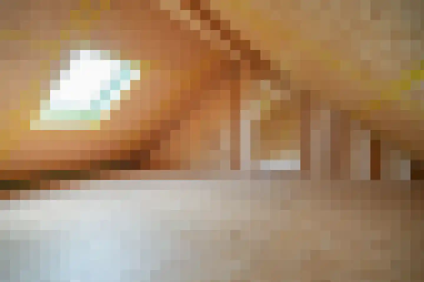 Heuvenseweg 4 Terborg thumbnail 31