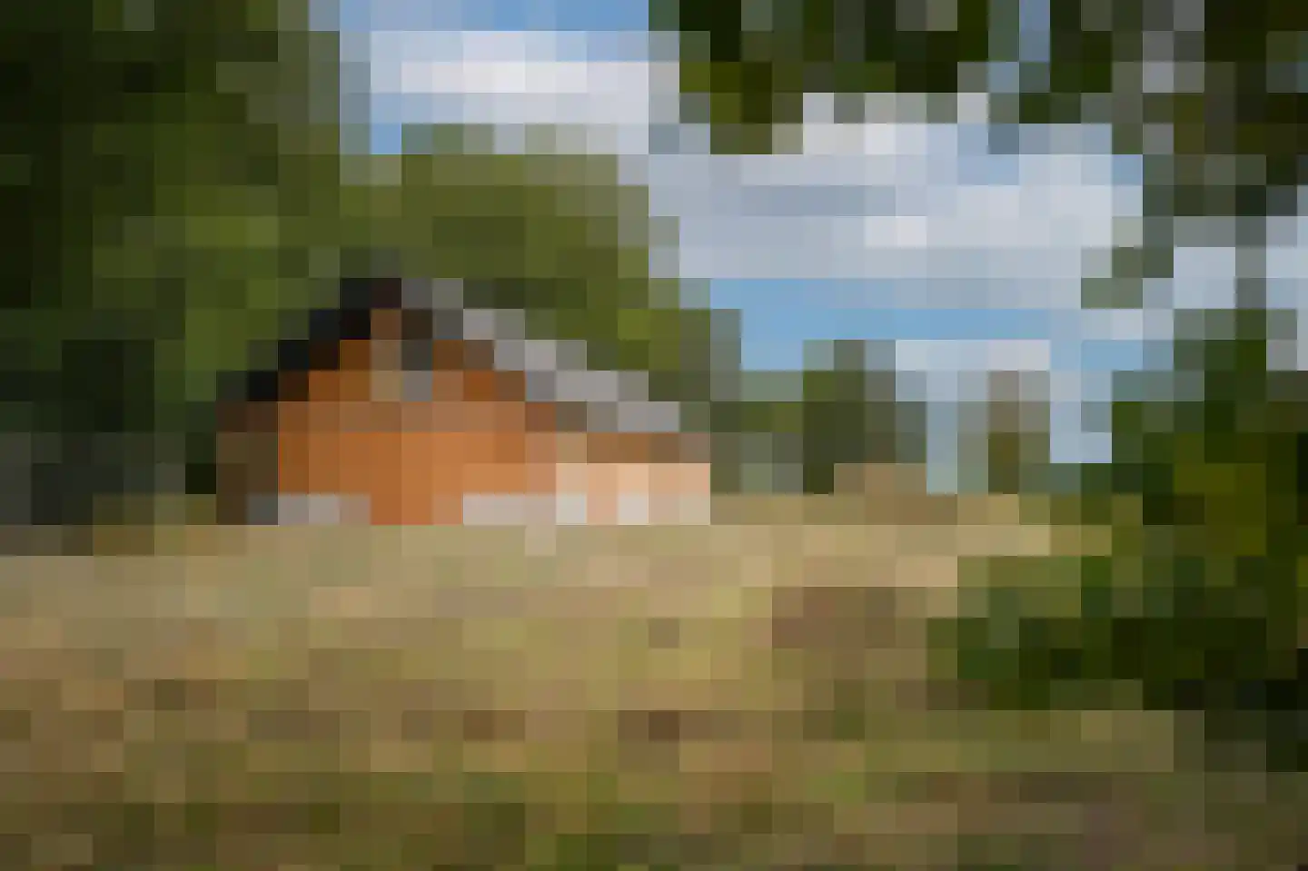 Heuvenseweg 4 Terborg thumbnail 33