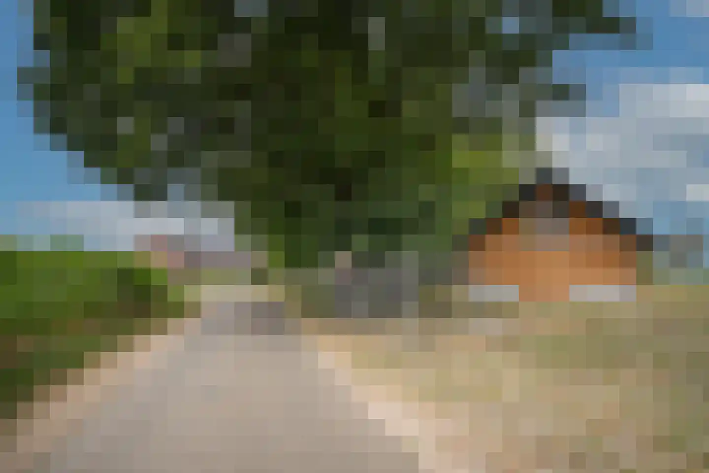 Heuvenseweg 4 Terborg thumbnail 35