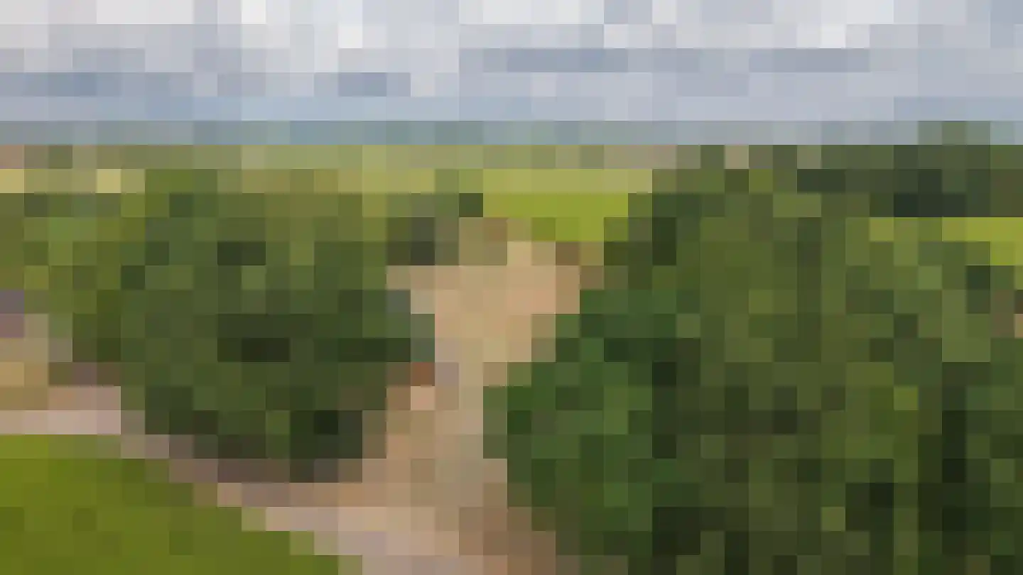 Heuvenseweg 4 Terborg thumbnail 37