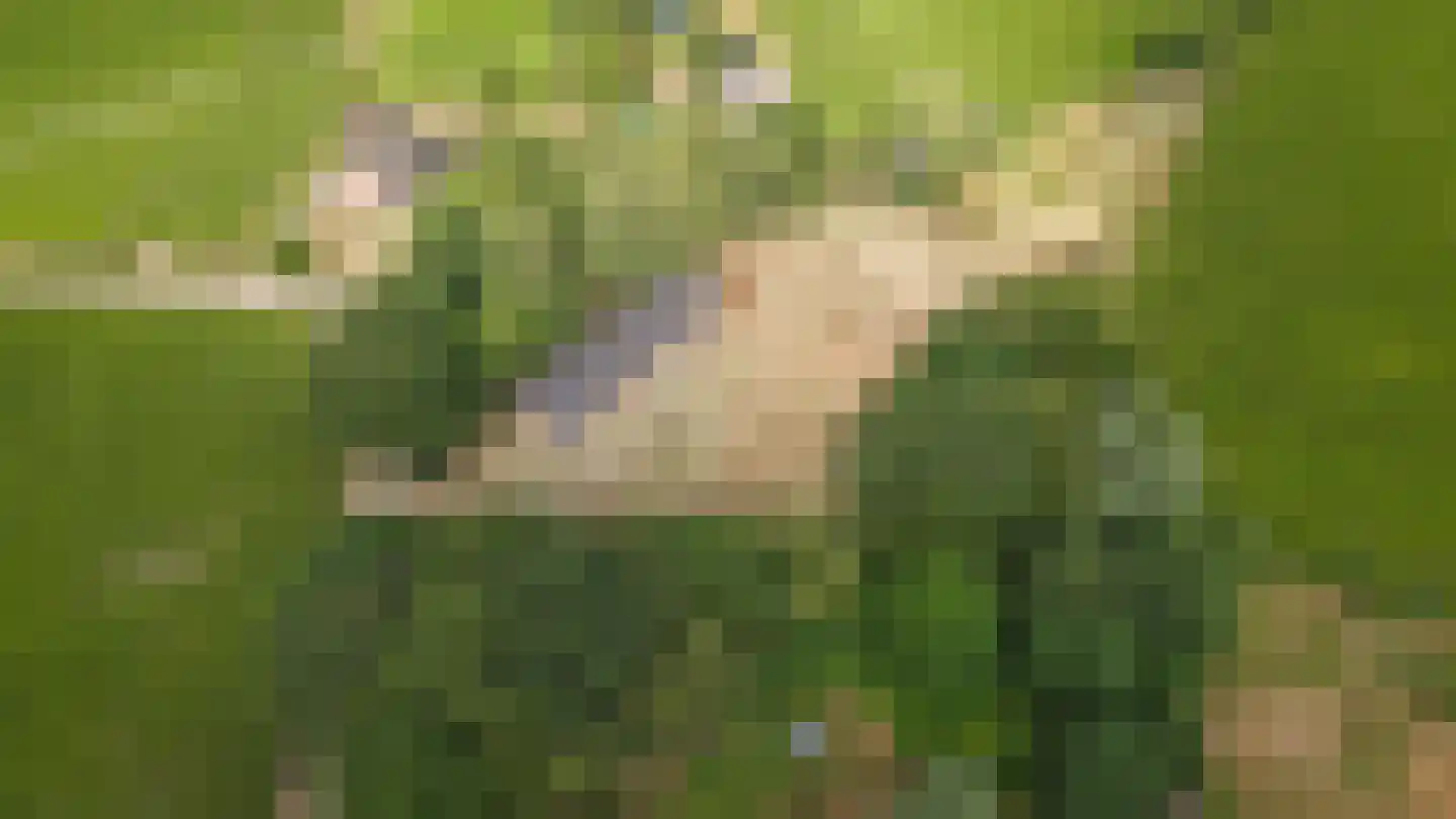 Heuvenseweg 4 Terborg thumbnail 38