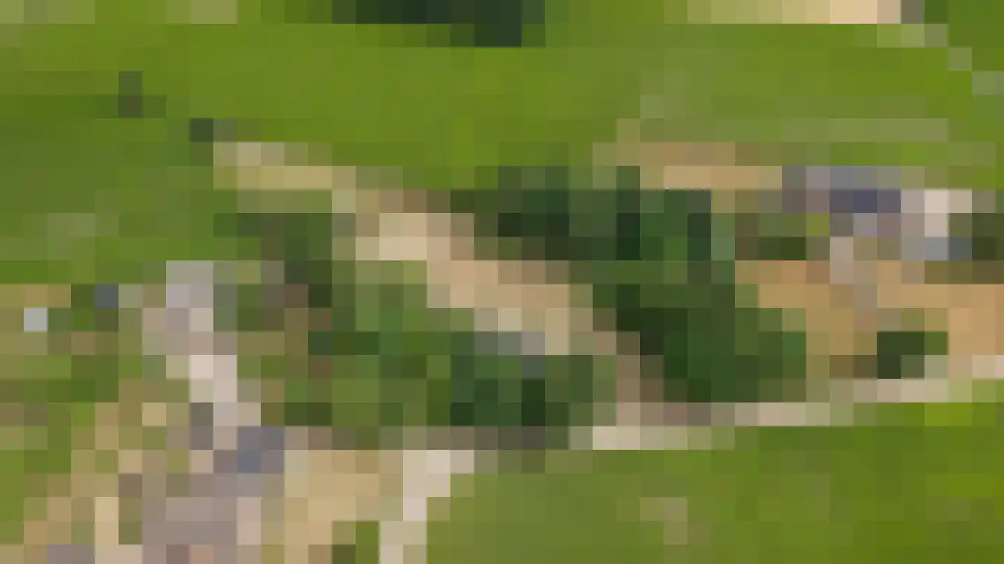 Heuvenseweg 4 Terborg thumbnail 39
