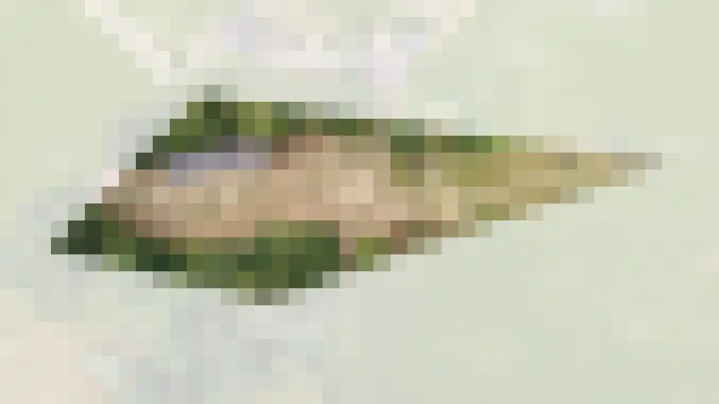 Heuvenseweg 4 Terborg thumbnail 4