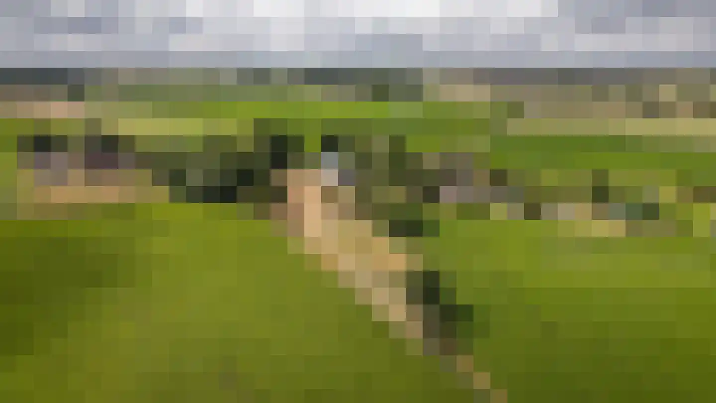 Heuvenseweg 4 Terborg thumbnail 40