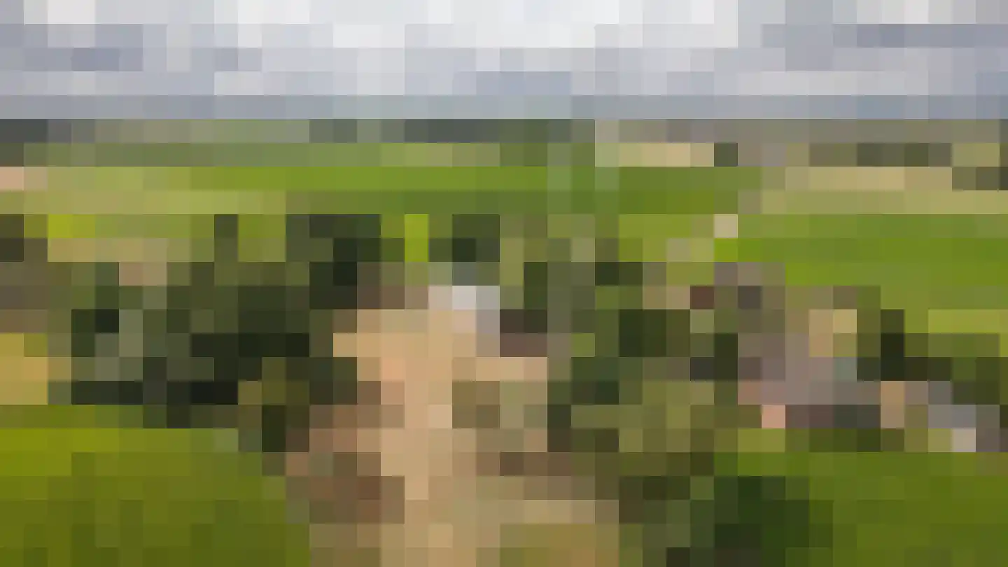 Heuvenseweg 4 Terborg thumbnail 41