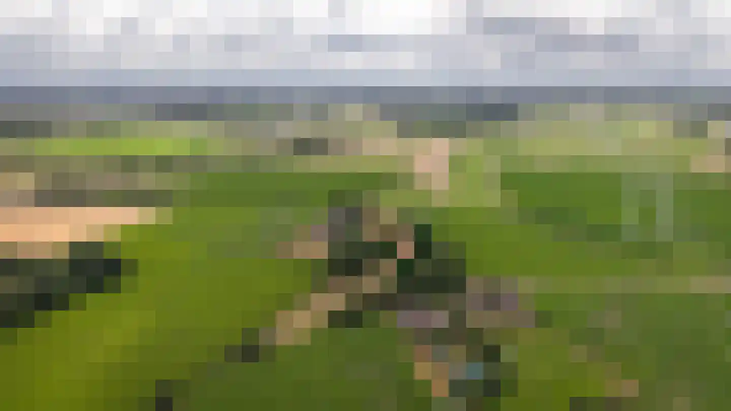 Heuvenseweg 4 Terborg thumbnail 43