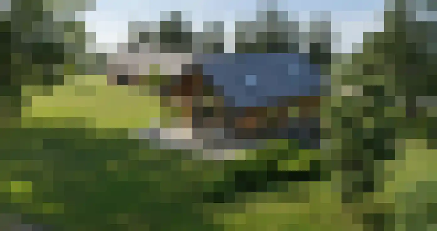 Heuvenseweg 4 Terborg thumbnail 8