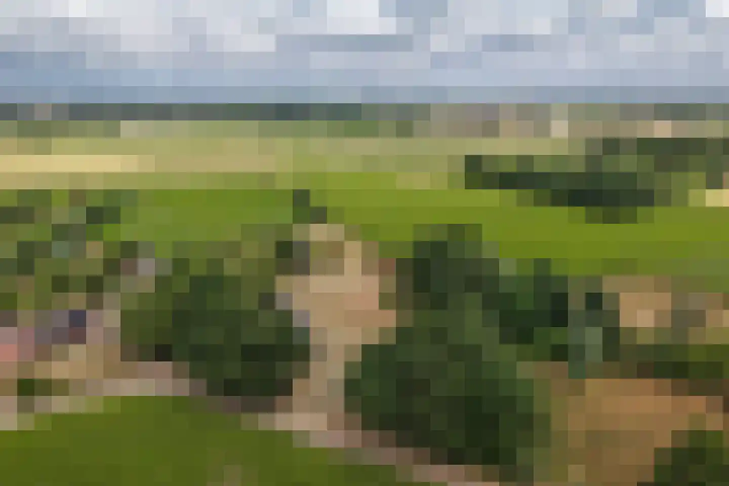 Heuvenseweg 4 Terborg thumbnail 9