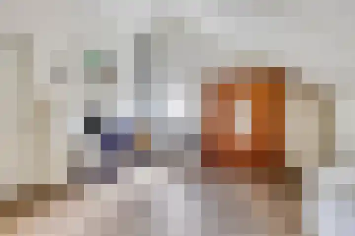 Heuvingerzand 34 Ede thumbnail 30