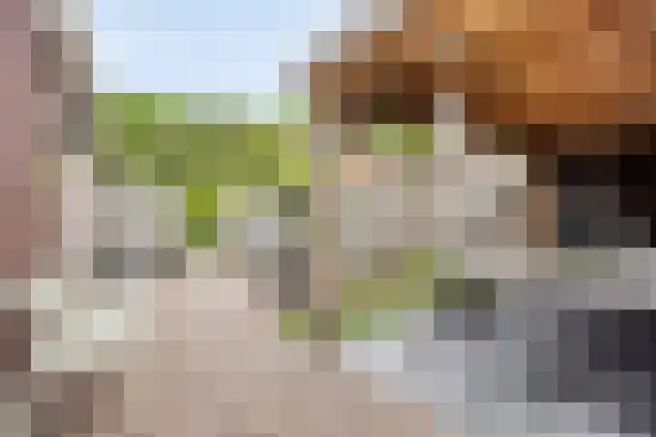 Heuvingerzand 34 Ede thumbnail 36