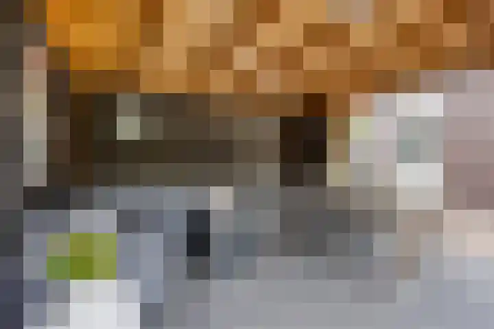 Heuvingerzand 34 Ede thumbnail 37