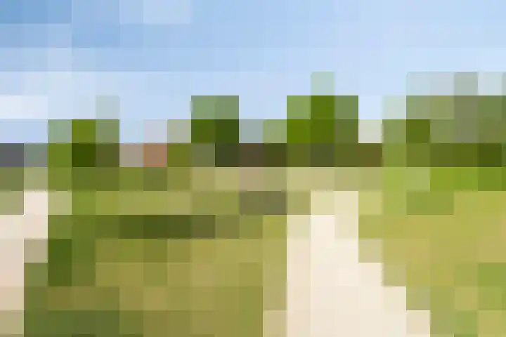 Heuvingerzand 34 Ede thumbnail 48