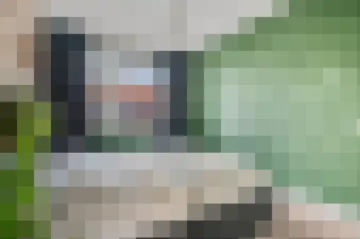 Heuvingerzand 4 Ede thumbnail 13