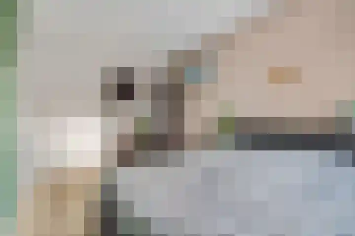 Heuvingerzand 4 Ede thumbnail 14