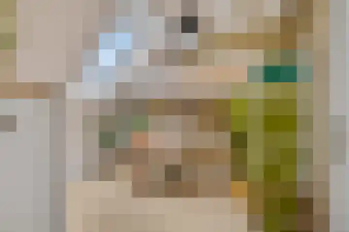 Heuvingerzand 4 Ede thumbnail 26