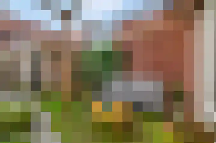 Heuvingerzand 4 Ede thumbnail 30