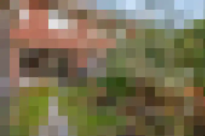 Heuvingerzand 4 Ede thumbnail 33