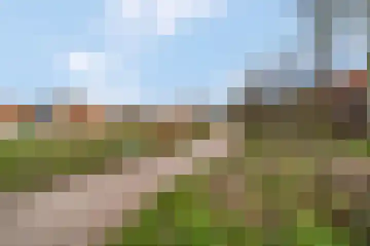 Heuvingerzand 4 Ede thumbnail 39