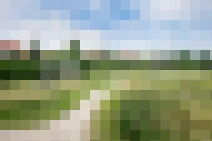 Heuvingerzand 4 Ede thumbnail 47