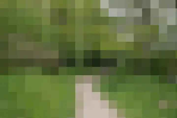 Heuvingerzand 4 Ede thumbnail 48