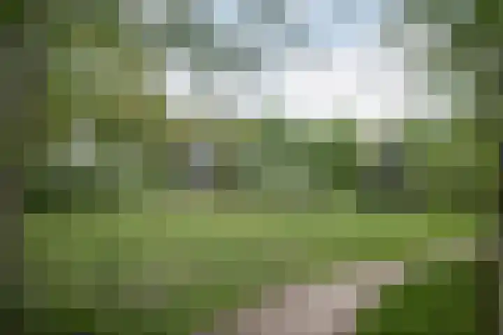 Heuvingerzand 4 Ede thumbnail 49