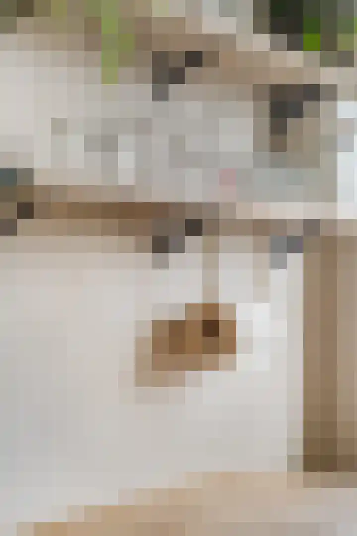 Heuvingerzand 4 Ede thumbnail 9