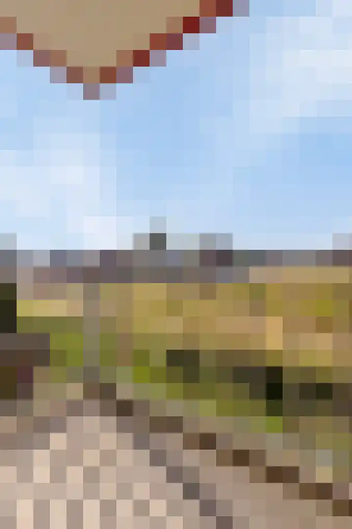 Heveapad 107 Hoogezand thumbnail 11