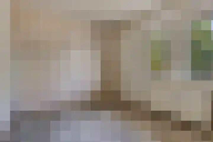 Heveapad 107 Hoogezand thumbnail 15