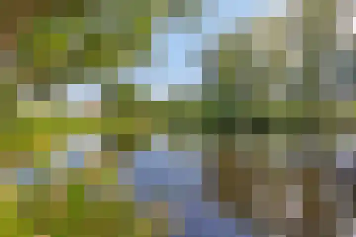 Heveapad 107 Hoogezand thumbnail 28