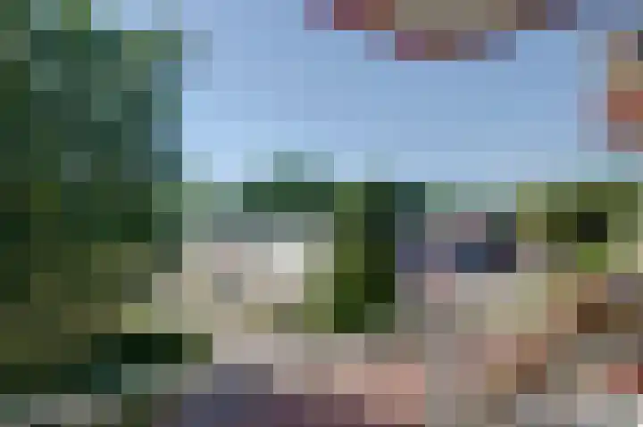 Heveapad 121 Hoogezand thumbnail 10