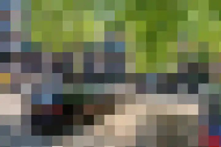 Heveapad 121 Hoogezand thumbnail 4