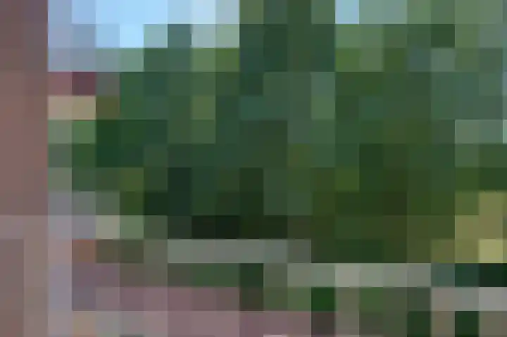 Heveapad 121 Hoogezand thumbnail 9