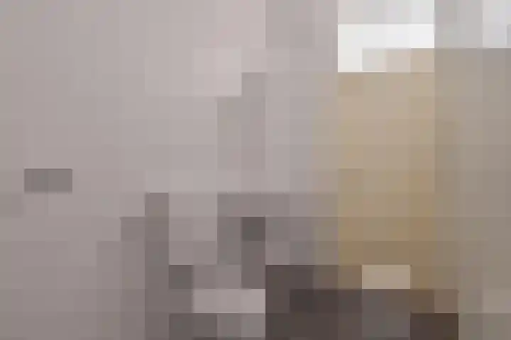 Heveapad 129 Hoogezand thumbnail 10