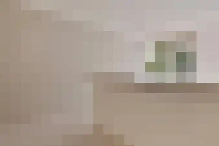 Heveapad 129 Hoogezand thumbnail 20