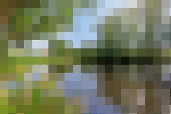 Heveapad 129 Hoogezand thumbnail 28