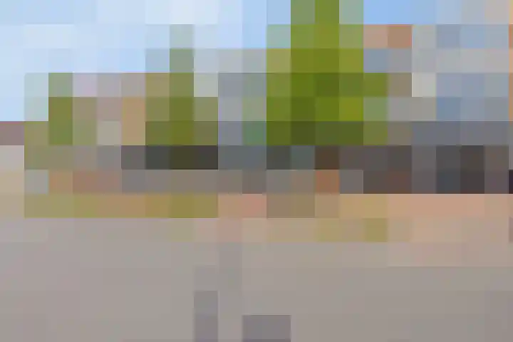 Heveapad 129 Hoogezand thumbnail 29
