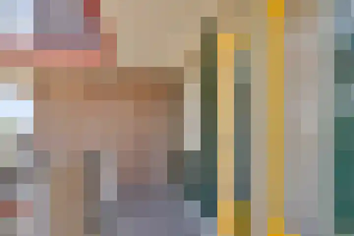 Heveapad 129 Hoogezand thumbnail 5