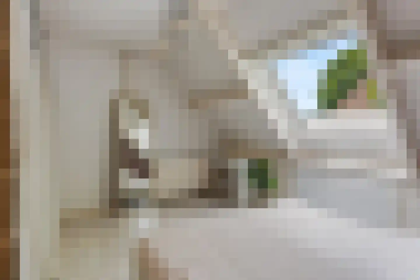 Heveapad 14 Hoogezand thumbnail 26