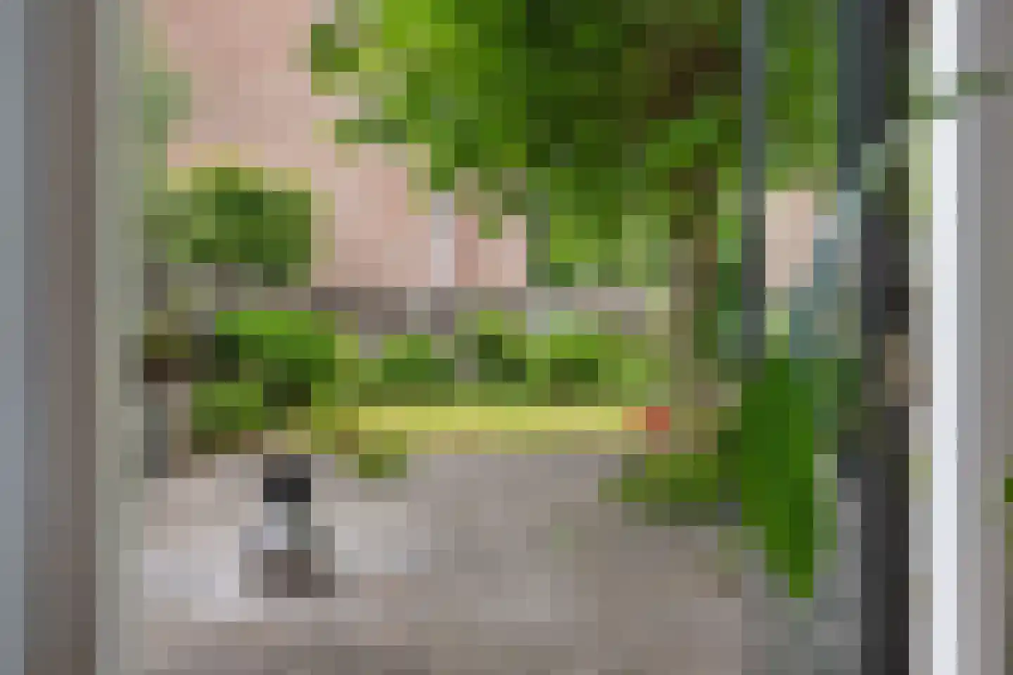 Heveapad 14 Hoogezand thumbnail 34
