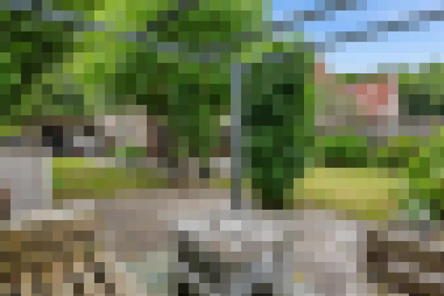 Heveapad 14 Hoogezand thumbnail 35