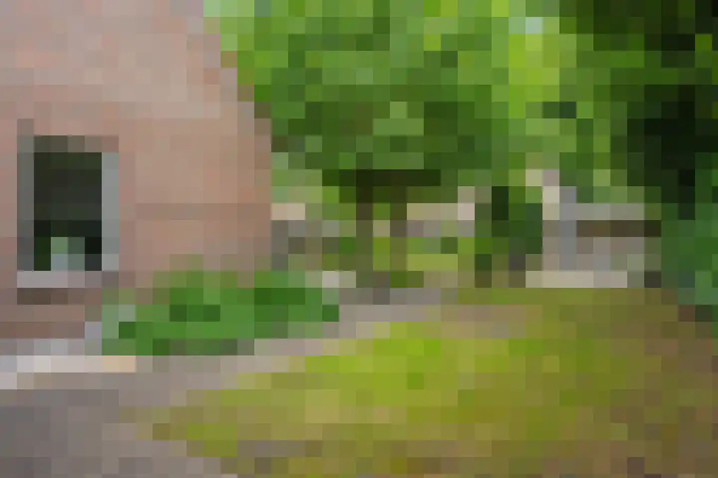 Heveapad 14 Hoogezand thumbnail 36