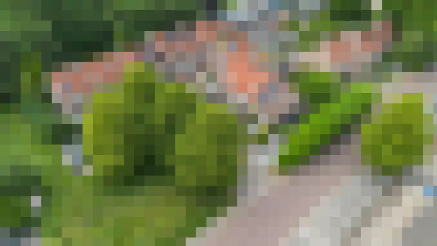 Heveapad 14 Hoogezand thumbnail 40