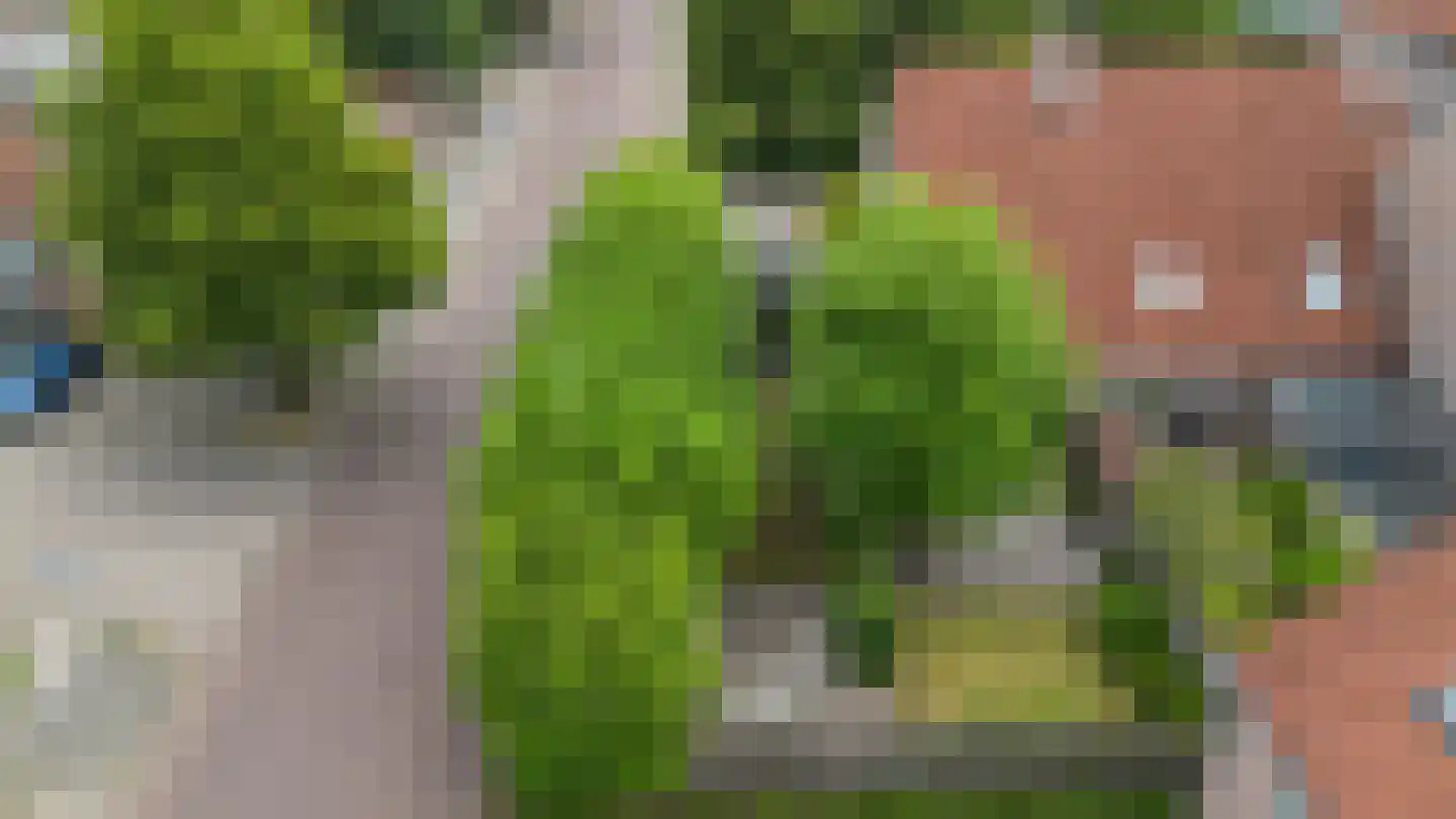 Heveapad 14 Hoogezand thumbnail 41