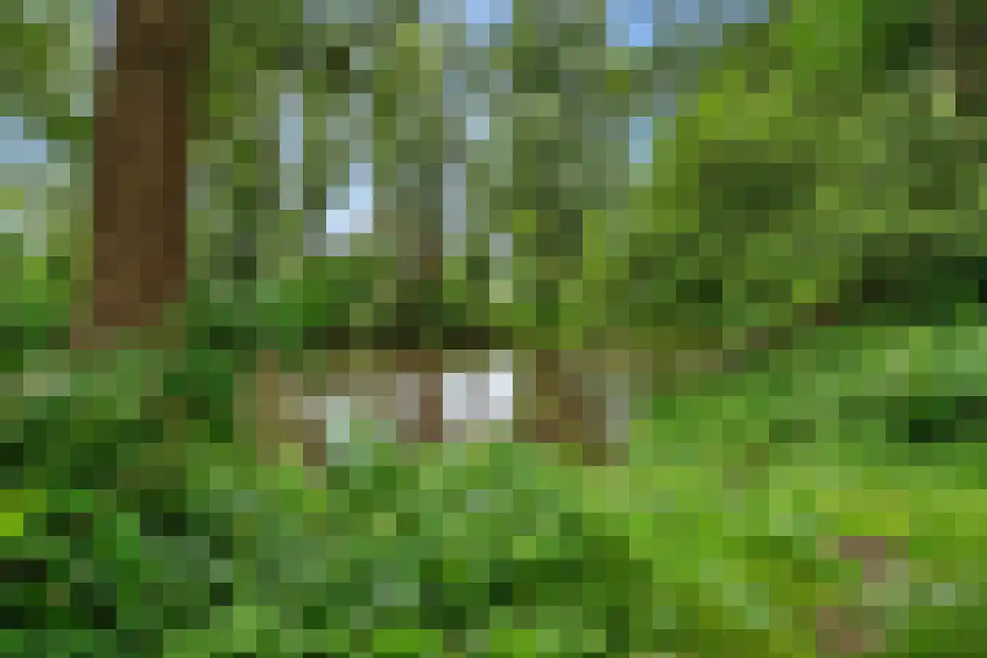 Heveapad 14 Hoogezand thumbnail 42