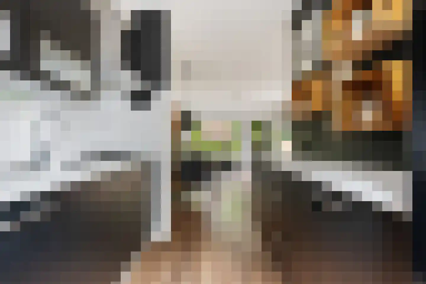 Heveapad 14 Hoogezand thumbnail 6