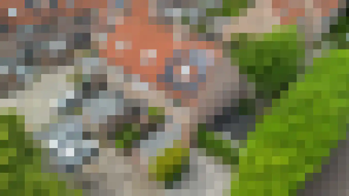 Heveapad 14 Hoogezand thumbnail 8