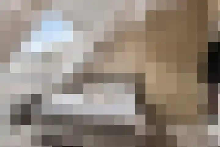 Heveapad 20 Hoogezand thumbnail 17