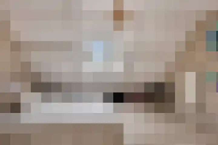 Heveapad 20 Hoogezand thumbnail 19